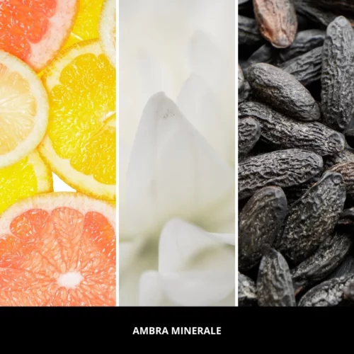 Ambra Minerale nuty zapachowe