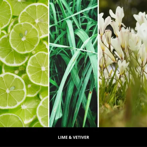 Nuty zapachowe LIME & VETIVER Millefiori Milano