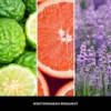 mediterranean-bergamot-nuty-zapachowe-millefiori-milano Nuty zapachowe MEDITERRANEAN BERGAMOT Millefiori Milano