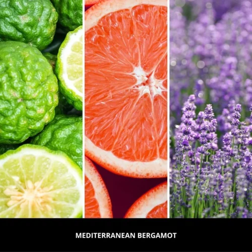 Nuty zapachowe MEDITERRANEAN BERGAMOT Millefiori Milano