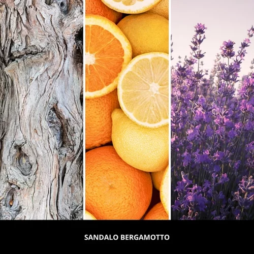 SANDALO BERGAMOTTO Nuty zapachowe