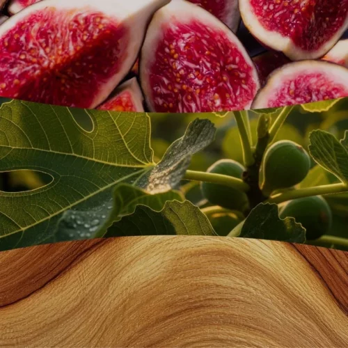 Nuty zapachowe Verdant Fig