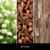 white-musk-nuty-zapachowe-millefiori-milano Nuty zapachowe WHITE MUSK Millefiori Milano